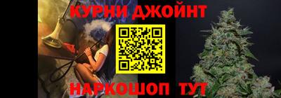 шишки Бийск