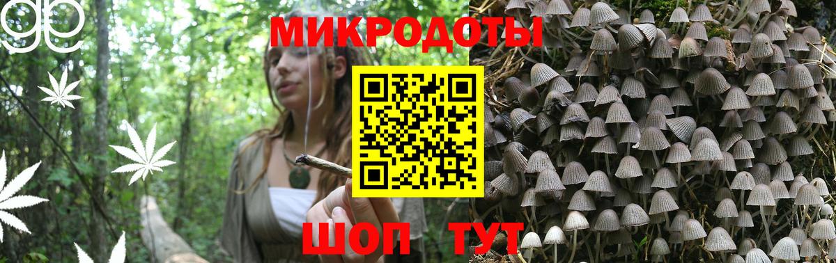 Гурьевск  Псилоцибиновые грибы Psilocybe  Псилоцибиновые грибы мицелий  Вход с VPN 
